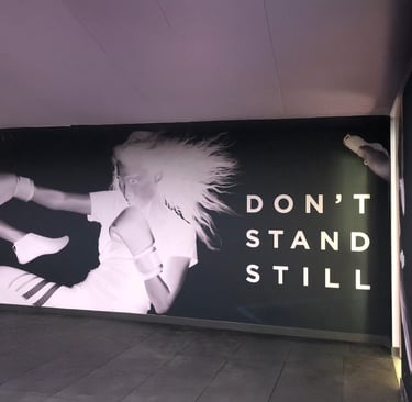 Vienos dalies interjero sienų grafika DECOSONA – unikalūs sienų raštai ir iliustracijos