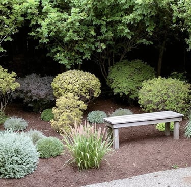 Backyard Shrubs