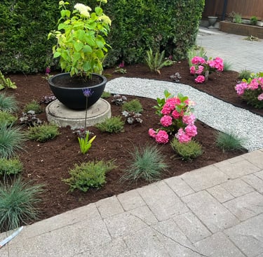Assortment of Plants