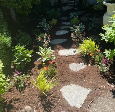 Small Front Yard Landscape