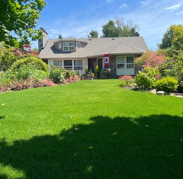 Sodded front lawn