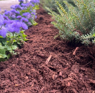 Closeup of Mulch in a flowerbed