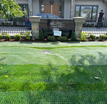 Newly Installed Garden