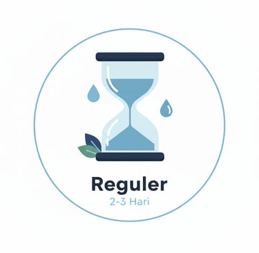 Laundry Reguler Bali