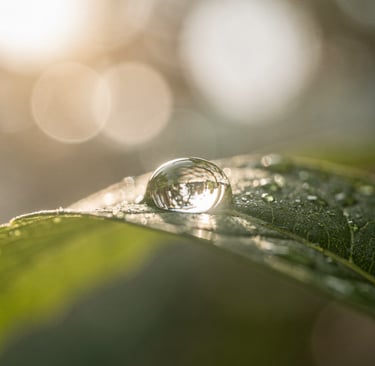 Goccia d'acqua pura su foglia verde che rappresenta il processo di disintossicazione e purificazione del corpo