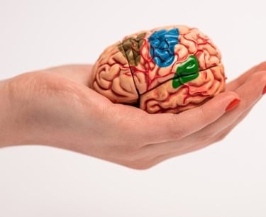 overview of brain -Amnesia