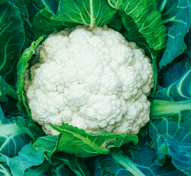 cauliflower