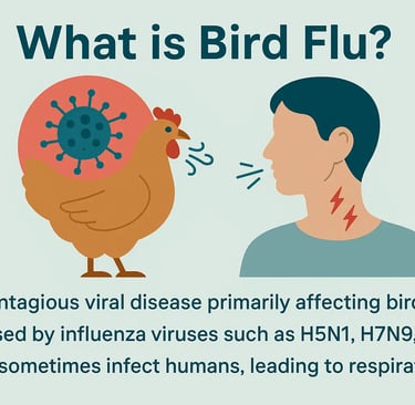 Bird Flu