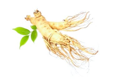 Ginseng
