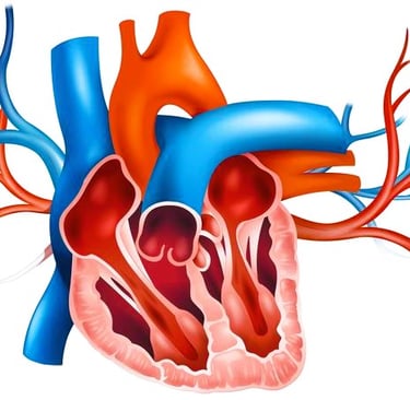 Heart valve
