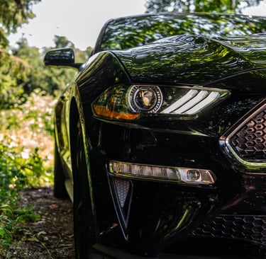 Schwarzer Ford Mustang auf Landstraße, tief fotografiert, zeigt Rückleuchten, Felgen 