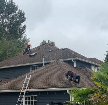 Roof Repairs In Federal Way, WA
