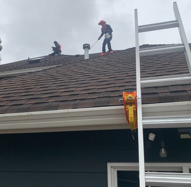 Second Chance Roofs Roof Cleaning Service