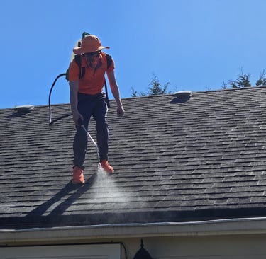 Second Chance Roofs Roof Restoration Service