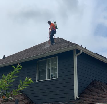 Roof Restoration Service In Federal Way, WA
