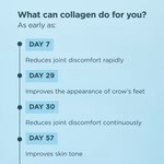 Collagen Protein