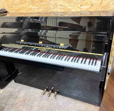 Piano Rameau 116