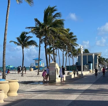 a beach with palm trees and people walking on the beach