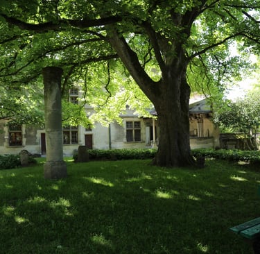 Jardin du musée de la Princerie