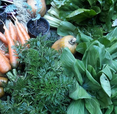 frutas y verduras orgánico