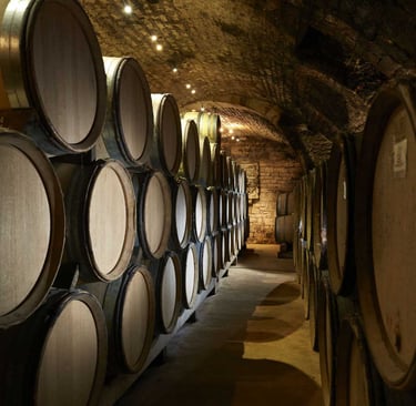 Cave du domaine