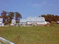 Elm Spring Farm