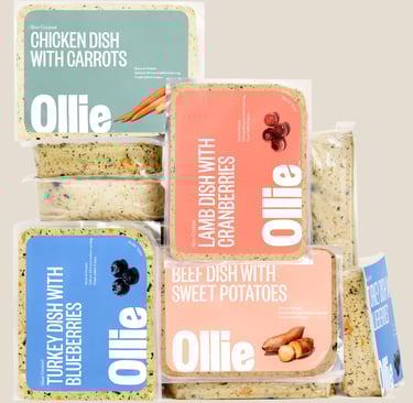 Ollie Turkey Recipe dog food