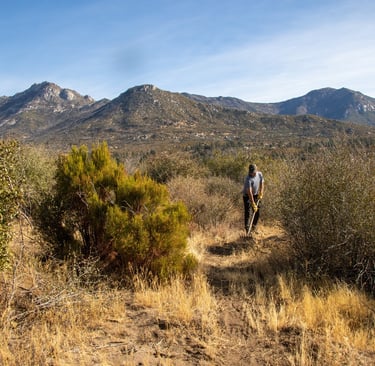 a man walking through a grassy area with mountains in the background