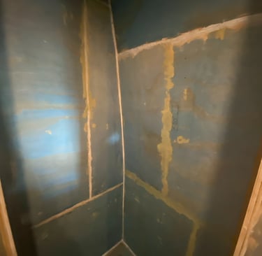 shower coverd with blue primer