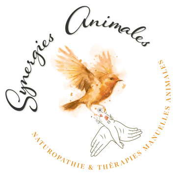logo de l'entreprise synergies animales, représentant un rouge gorge, des mains et des coquelicots