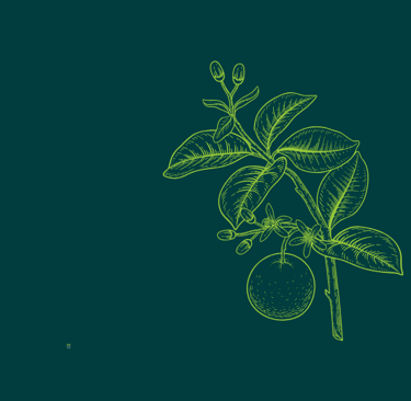 an orange citrus branch