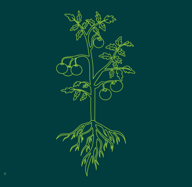 a plant with a plant with a root root