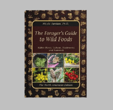 a book cover of the book the foraging guide to wild foods