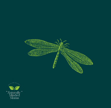 a dragonfly