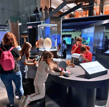 kids at cosmocaixa museum