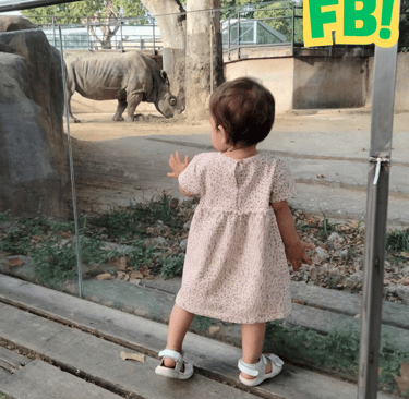 a baby girl standing on a wooden platform in the zoo