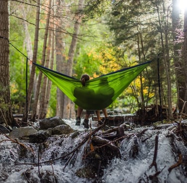 A couple of empty nesters sat in a hammock in a jungle