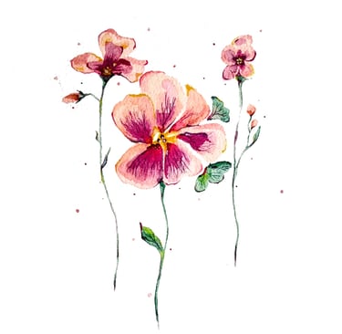 Fleurs Pensées à l'aquarelle