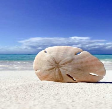 best-beaches-on-anna-maria-island