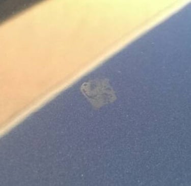 bug gut etching into clear coat