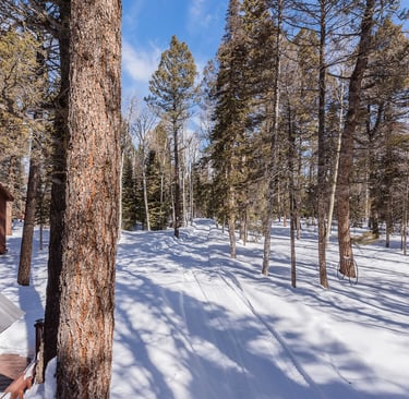 Cimarron CO real estate photography outdoor adventures on the Alpine Plateau