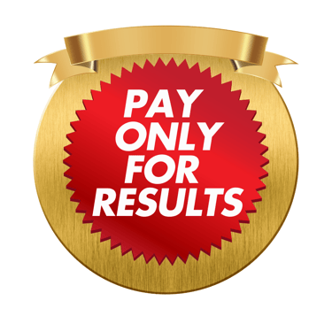 e business masters unique selling proposition pay for performance model