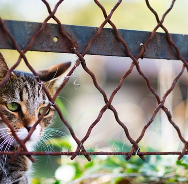 street photographie - photo de rue - un eternel instant - photographe portrait bas rhin