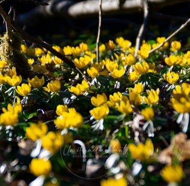 street photographie - photo de rue - un eternel instant - photographe portrait bas rhin