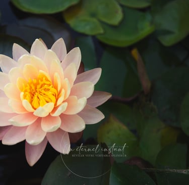 street photographie - photo de rue - un eternel instant - photographe portrait bas rhin