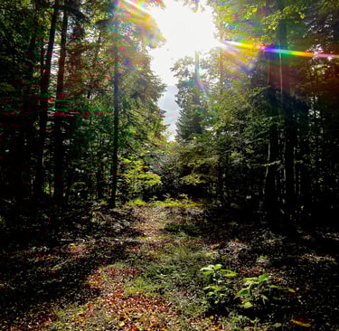 street photographie - photo de rue - un eternel instant - photographe portrait bas rhin