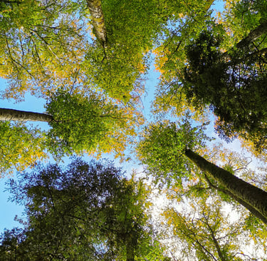 street photographie - photo de rue - un eternel instant - photographe portrait bas rhin