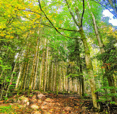 street photographie - photo de rue - un eternel instant - photographe portrait bas rhin