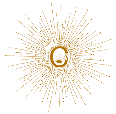 the seekers circle logo