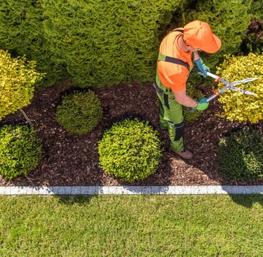 professional lawn care Oklahoma by matias landscaping